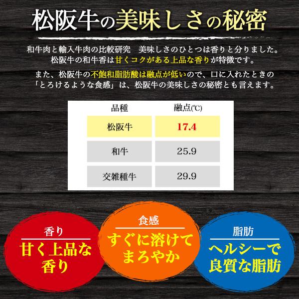 最高級 松阪牛 スジ肉 600g (300g×2パック)  小分け すじ肉 牛肉 牛スジ 黒毛和牛 日本産 国産 牛肉 ブランド牛 冷凍保存 冷凍クール便配送