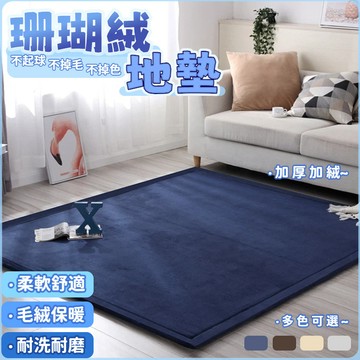珊瑚絨地毯 珊瑚絨地墊 加厚3CM日式 塌塌米墊 爬行墊 瑜珈墊 吸水地墊 長毛地毯 防滑地毯 加厚地毯 毛地毯地墊