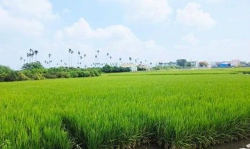 烏日&芬園-稀有方正美農地｜台中市烏日區溪尾南段