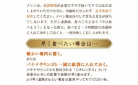 アールスメロン 2玉（3.5キロ以上）   長崎県農産品流通合同会社   長崎県 雲仙市 [item0085]   野菜 果物 フルーツ メロン アールスメロン 期間限定