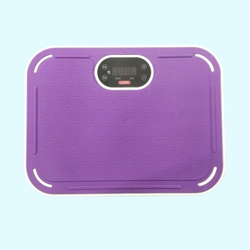 家用減脂儀迷你上下垂直律動機110V律動機全身燃脂抖抖甩脂機