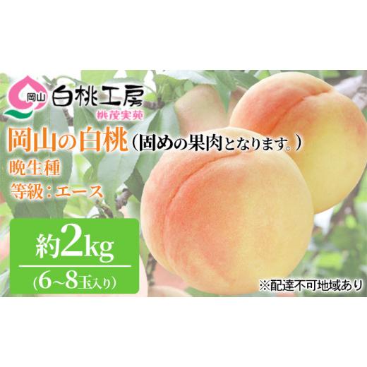 ふるさと納税 岡山県 赤磐市 固めの 桃 2024年 先行予約 白桃 晩生種 2kg 6〜8玉 もも モモ 岡山 国産 フルーツ 果物 ギフト 桃茂実苑