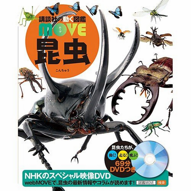 動く図鑑move 昆虫 Dvd付き 子供 赤ちゃん 幼児 誕生日プレゼント 通販 Lineポイント最大0 5 Get Lineショッピング
