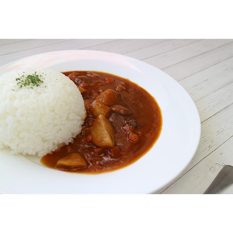 塩分0.4gのビーフカレー   ホリカフーズ 減塩カレー 減塩食品