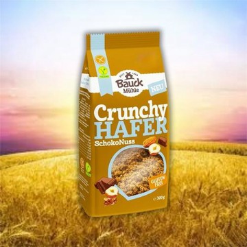 【德國BauckMühle】寶客無麩質巧克力堅果燕麥脆片 (300g/包)(無蛋奶) 3包入