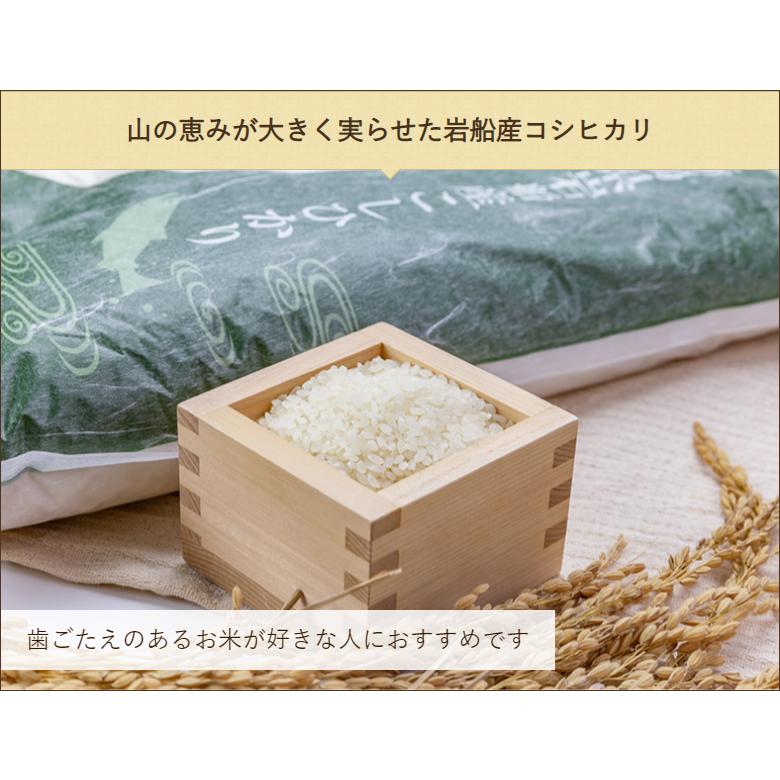 岩船産 コシヒカリ 精米3kg 新潟農商 のし無料 送料無料