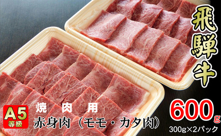 牛肉 飛騨牛 焼き肉 セット 赤身 モモ 又は カタ 600g 黒毛和牛 A5 美味しい お肉 牛 肉 和牛 焼肉 BBQ バーベキュー  