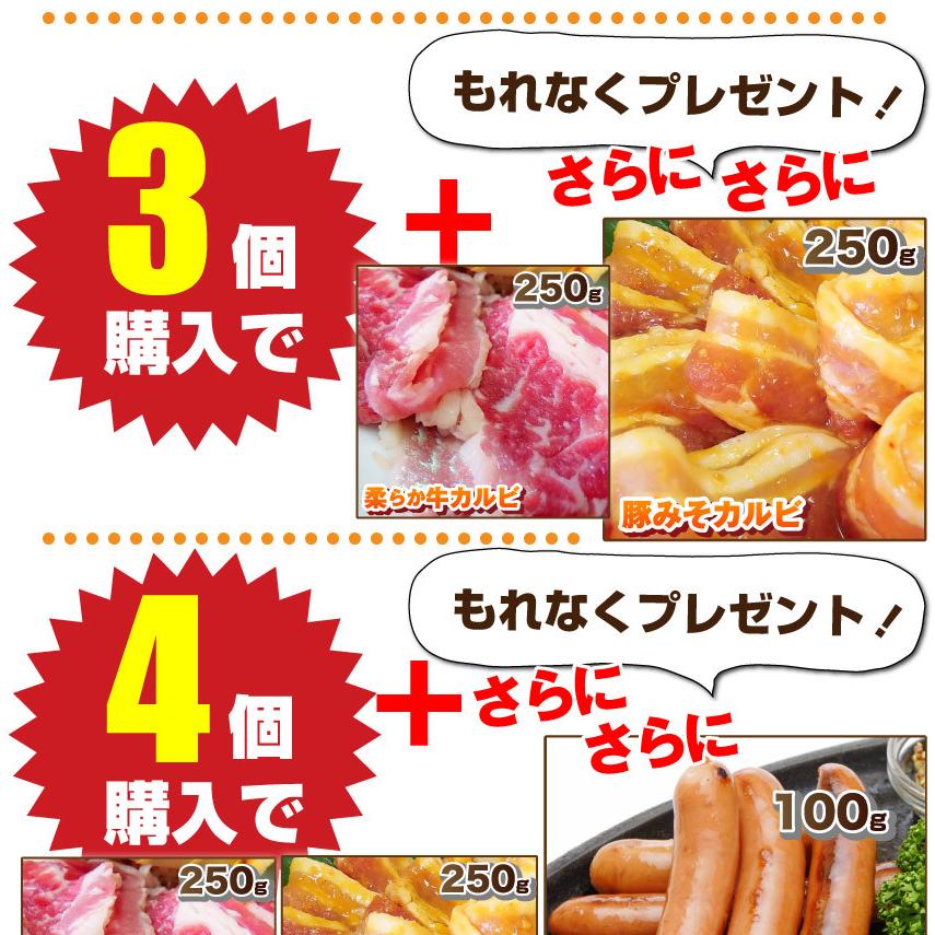 焼肉 セット 牛肉 肉 焼肉 メガ盛り行楽 BBQセット 福袋 2kg超 カルビ お歳暮 ギフト 食品 プレゼント お祝い キャンプ キャンプ飯