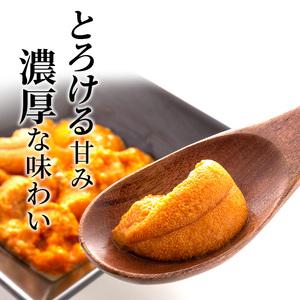 ふるさと納税 北海道 利尻島産 塩水生うに（バフンウニ）100g×2パック [2024年6月出荷開始先行受付] ウニ 塩水ウニ 北海道利尻町