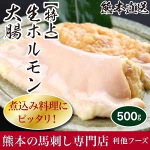 馬刺し 熊本 生 ホルモン 大腸（約500g）   肉 馬肉 焼肉 利他フーズ 食べ物 お中元