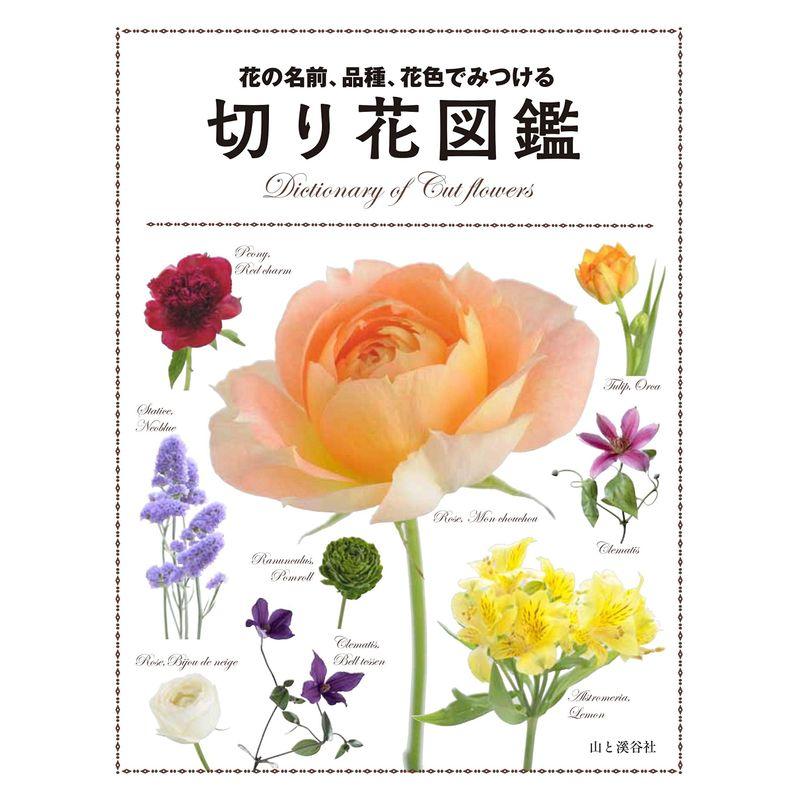 花の名前、品種、花色でみつける 切り花図鑑