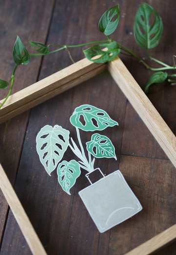 AHMLIFE 透明系 植物框 窗孔龜背芋 原作限量商品