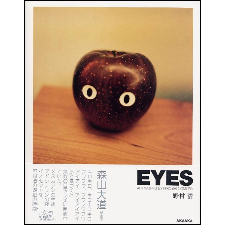 EYES ART WORKS BY HIROSHI NOMURA 野村浩 著