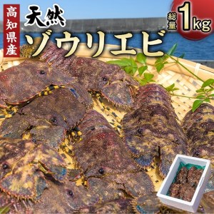 幻の天然ゾウリエビ１kg（サイズおまかせ）※着日指定不可※タビエビ 甲殻類 海老 地元ですら流通しない希少セミエビ科