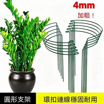 ❤️在臺出貨❤️ 花卉支撐架 綠植月季鐵藝半圓支架 加粗4mm防倒伏神器鐵藝半圓龜背支撐架加厚蝴蝶蘭固定支撐杆QWK5