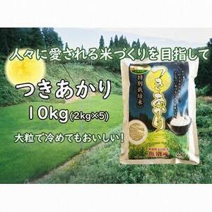 ふるさと納税 新潟魚沼産 つきあかり新潟魚沼産2kg×５袋 新潟県十日町市