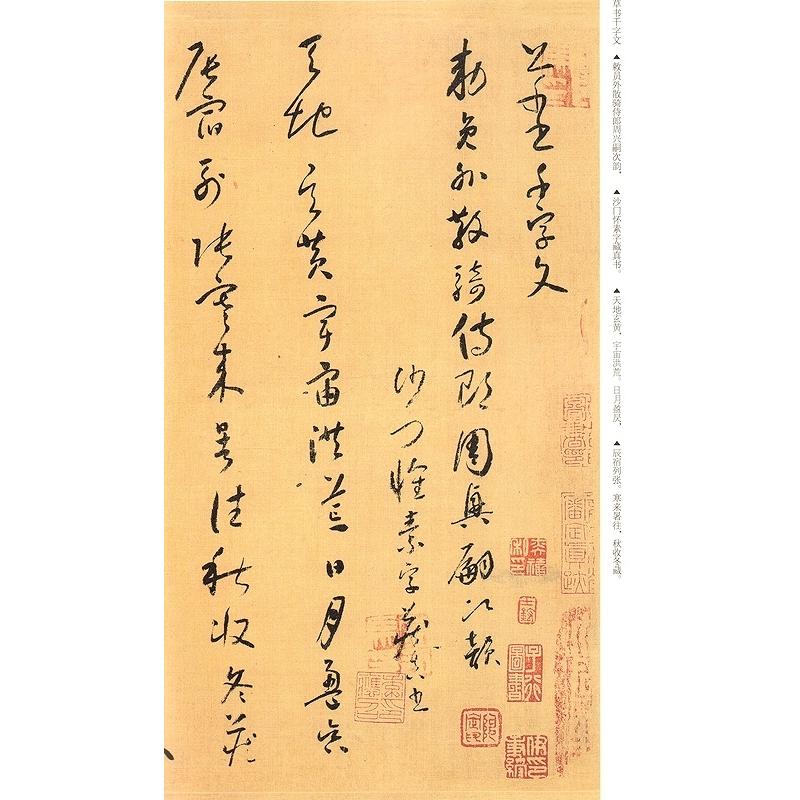 懐素小草千字文　高校書法専門碑帖精選系列　中国語書道 #24576;素小草千字文  高校#20070;法#19987;#19994;碑帖精#36873;系列