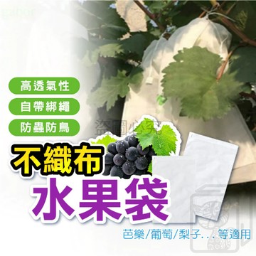 防蟲防鳥 紗網袋 無紡布水果袋 水果網袋 水果套袋 葡萄袋 芭樂袋 束口網袋 防蟲網袋 芒果袋 束口袋 網紗袋 KKK