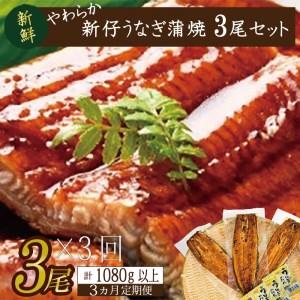 ふるさと納税 AD-89　やわらか新仔うなぎ蒲焼120〜140ｇ　3尾×3回　計1080ｇ以上 茨城県行方市