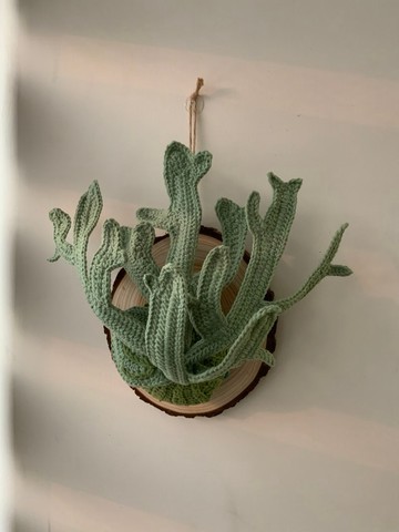 【客製專區】上板植物 針織手作