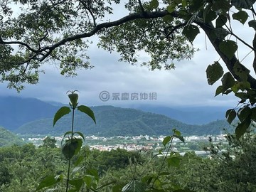 性寶地埔里牛尾段5公頃純淨農地守護者｜南投縣埔里鎮牛尾段