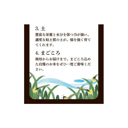 ふるさと納税 山口県 下関市  新米 令和5年産 きぬむすめ 10kg×3回 玄米 やまだ農園 豊田 下関