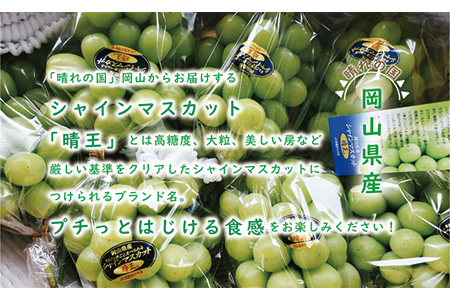 岡山県産シャインマスカット「晴王」　秀品　大房　（約2kg・2～5房程度）（令和６年8月中旬以降発送）