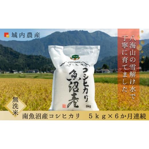 ふるさと納税 新潟県 南魚沼市 新米 令和５年産 南魚沼産コシヒカリ　無洗米５ｋｇ＜５割減農薬栽培米＞　城内農産