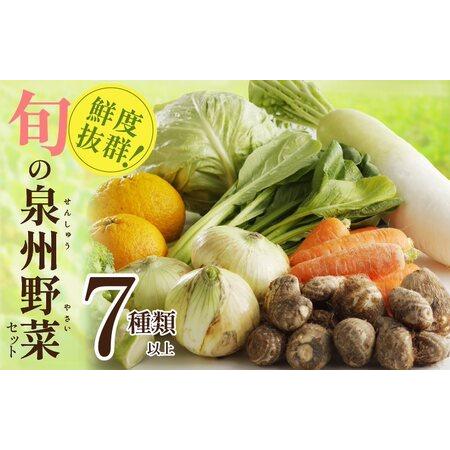 ふるさと納税 旬の野菜セット 詰め合わせ 7種類以上 国産 新鮮 お試し おまかせ お楽しみ 大阪府泉佐野市