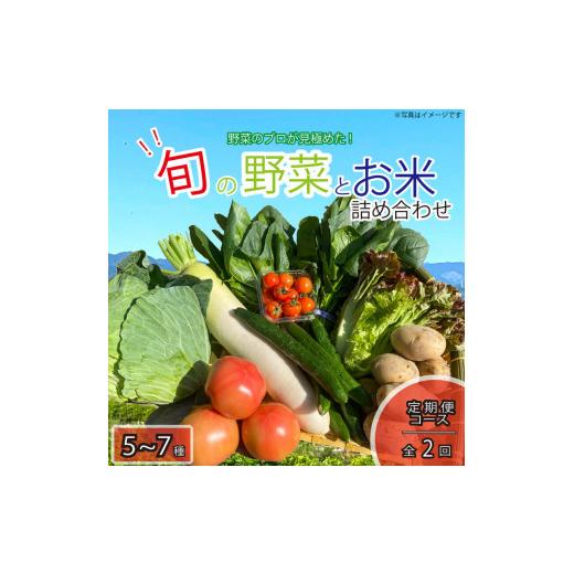 ふるさと納税 徳島県 阿波市 野菜 米 お楽しみ 5~7品目 年2回 定期便 詰め合わせ セット 阿波市 徳島県