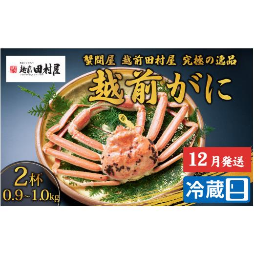 ふるさと納税 福井県 福井市 越前がに（ズワイ） 0.9-1.0kg 2杯セット  [O-029026]