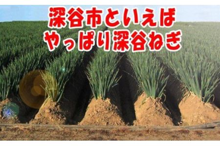 ＜先行受付＞産地直送深谷ねぎ5kg（土付き）　