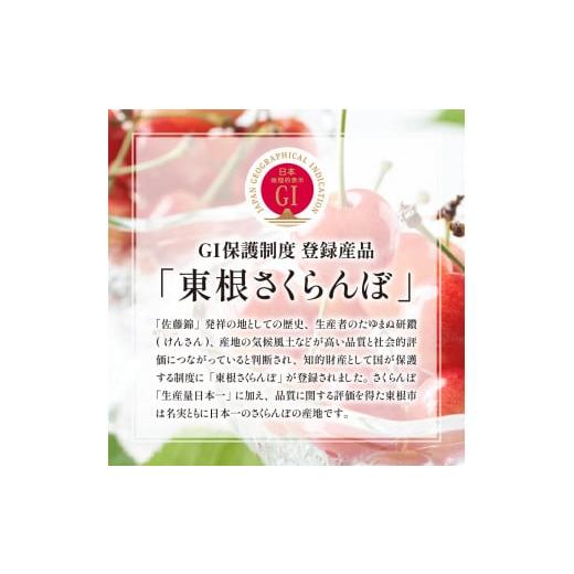 ふるさと納税 山形県 東根市 2024年産 GI「東根さくらんぼ」 紅秀峰 300g鏡詰め(2L) 東根農産センター提供