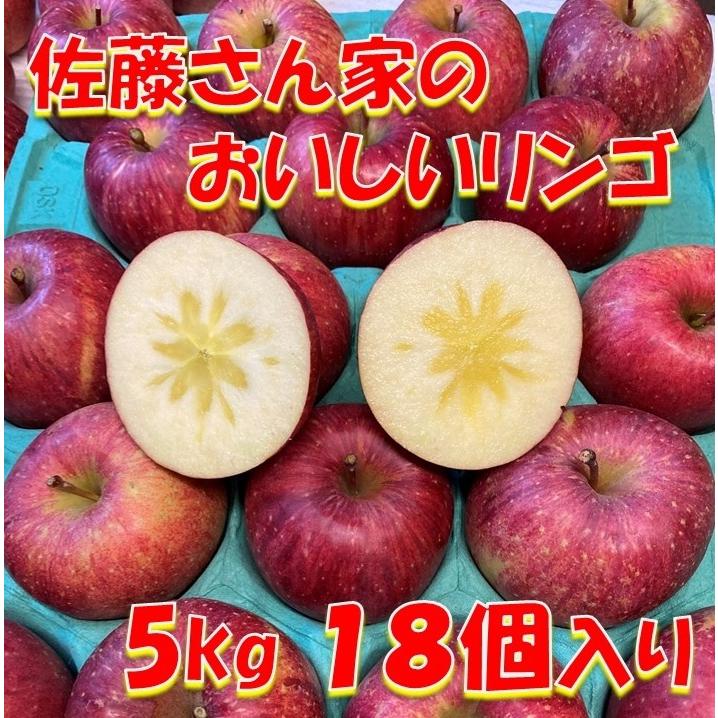 リンゴ フジ 5kg 秋田県産 贈り物 贈答 お歳暮　 佐藤さん家のおいしいリンゴ 5kg 18個入り 送料無料