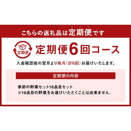 ふるさと納税  季節の野菜セット 16品目 熊本県八代市