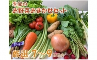 季節のお野菜おまかせセット