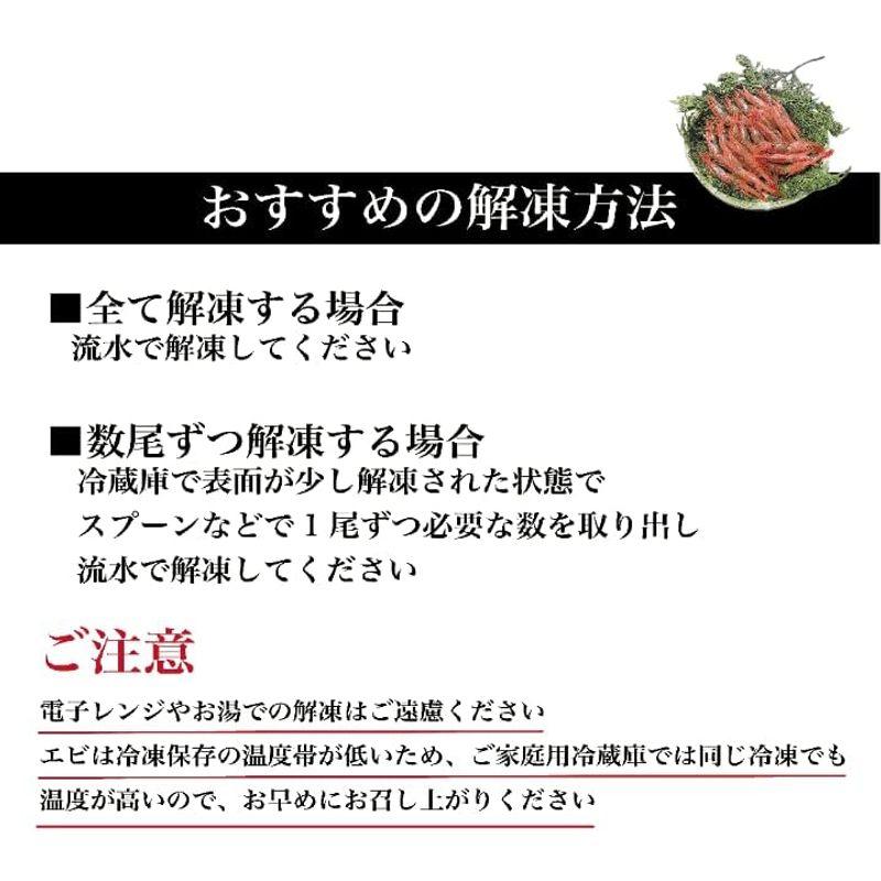 メガ盛り鮮度良好 甘海老 Mサイズ 1kg (90?100尾入)×1箱 エビ 甘エビ えび 海老 甘海老 生食 生食用 急速冷凍 冷凍 お刺