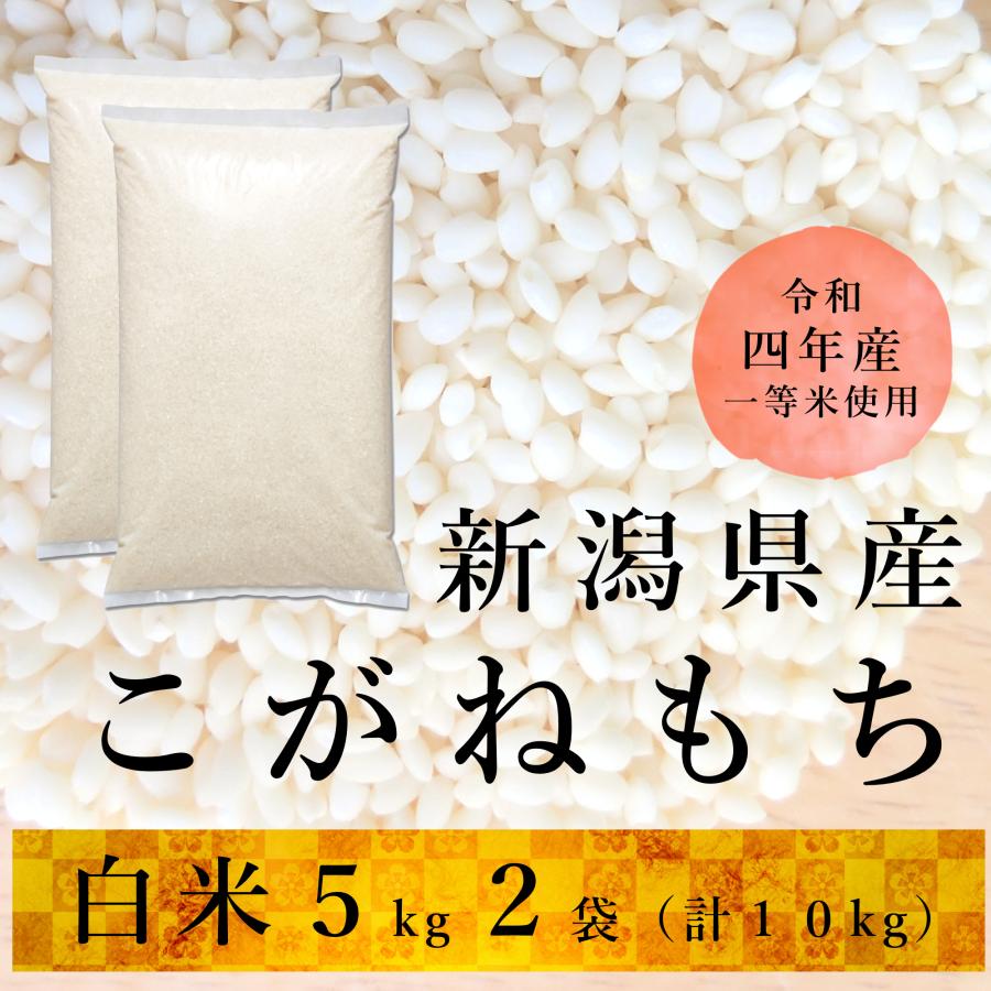 もち米 10kg こがねもち 新潟産 令和５年産 送料無料※地域別