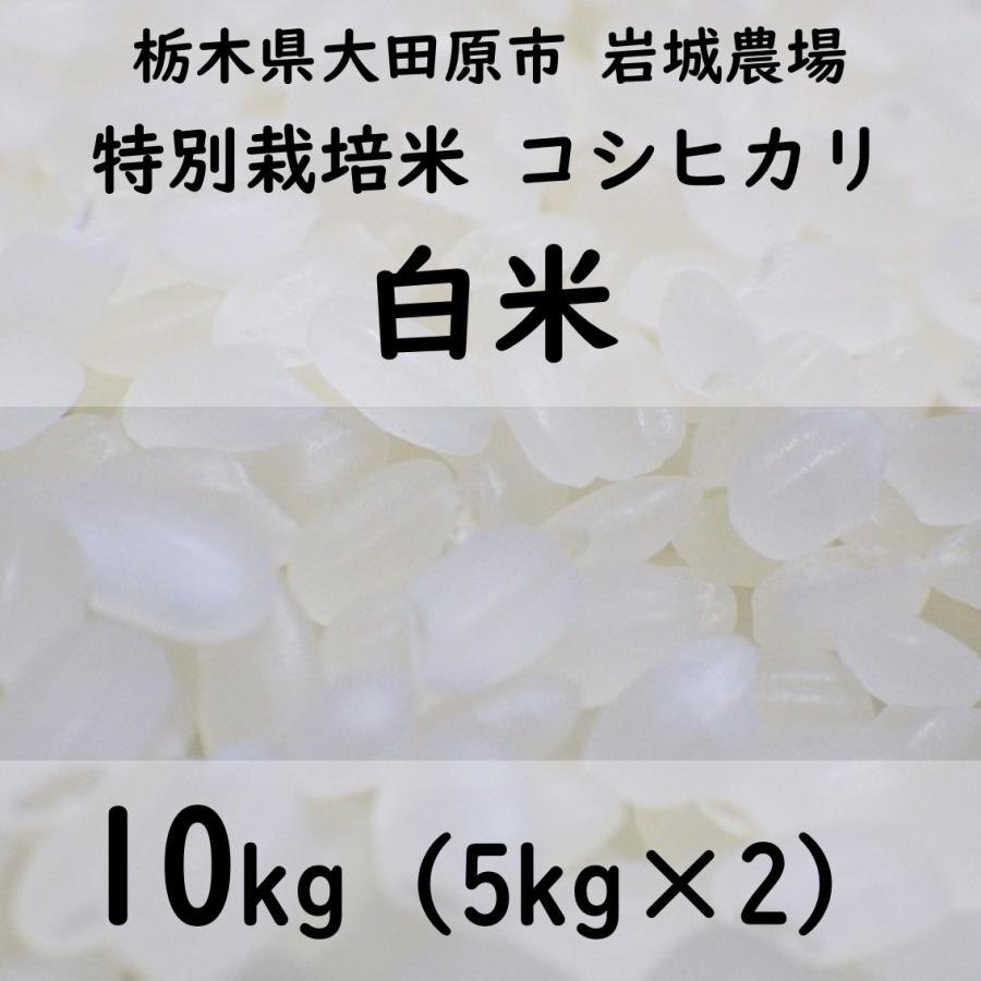 特別栽培米コシヒカリ 2023年産（5kg×2）