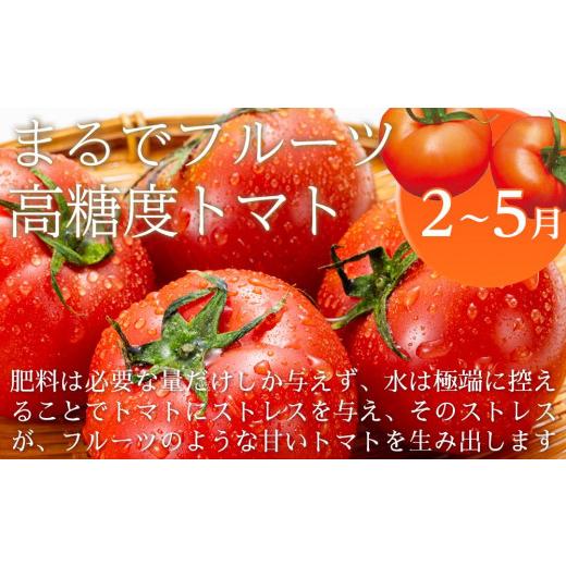 ふるさと納税 高知県 南国市 季節のフルーツセット（2023年度受付）｜フルーツ 定期便 いちご フルーツトマト スイカ マンゴー …