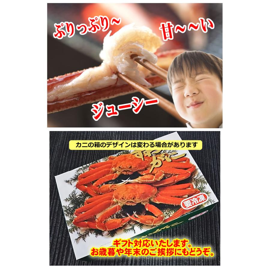 新物 生ずわい３ｋ6-7肩中心（アラスカ州産バルダイ種）特太の5Rサイズ