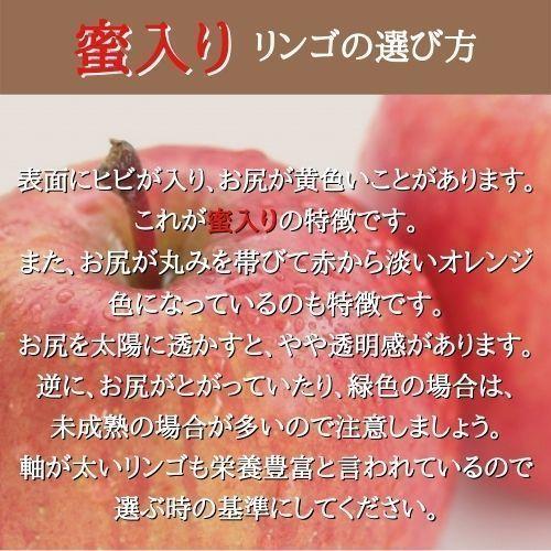  りんご サンふじ 最高級 2L 5kg 箱（約13〜14個入り） 産地直送 送料無料 12月上旬〜順次発送 福島 りんご屋さとう