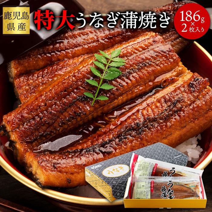 国産特大うなぎ蒲焼き 186g×2袋 鹿児島県産 こだわりのつまった特大うなぎ蒲焼き ふっくらジューシーで食べ応え満点