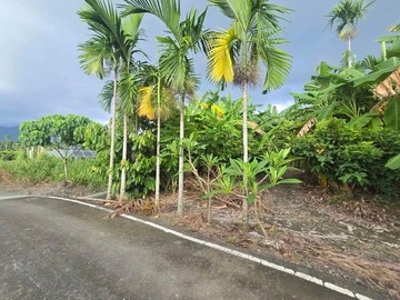 內埔隘寮百果小農地(U1)土地肥沃.山景美｜屏東縣內埔鄉新展段