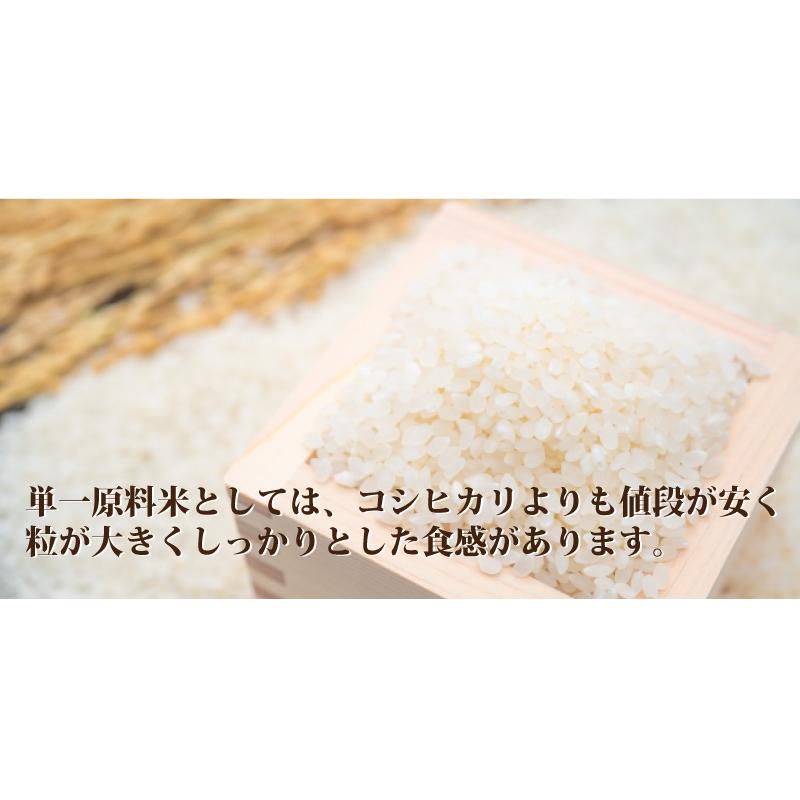 令和５年産 福井県産ハナエチゼン 15kg 白米 安い ５kg×3 ブランド米 単一原料米 送料無料