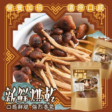 【粿女兒商行】🔥現貨 滋補山珍茶樹菇50g