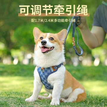 🔥桃園出貨🔥狗狗牽引繩背心式胸揹帶狗繩中小型犬柯基柴犬貴賓寵物外出遛狗鏈