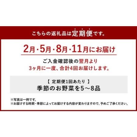 ふるさと納税 特別栽培季節のお野菜セットA(2・5・8・11月発送) 野菜 セット 宮崎県えびの市