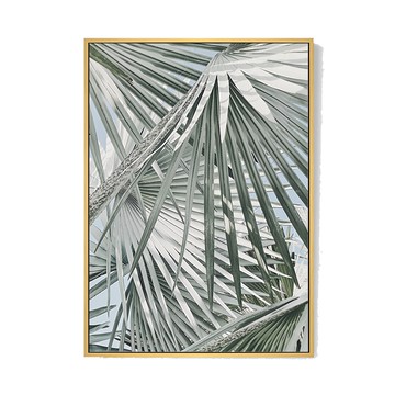 Boluo 菠蘿選畫所 微光棕櫚  40 x 30cm  木色