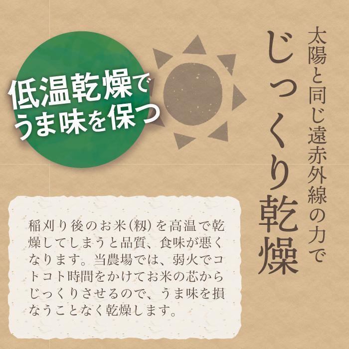 無洗米 新潟県産 コシヒカリ 特別栽培米 10kg 令和5年産 新米 こしひかり 10キロ 農家直送 減農薬